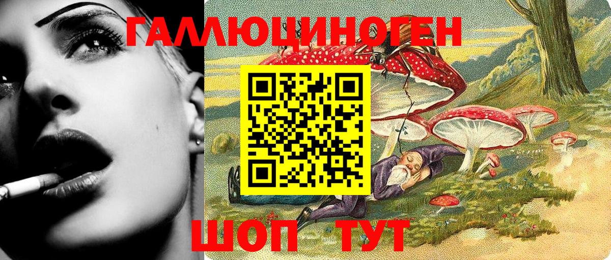 Псилоцибиновые грибы мицелий  Вход с VPN  Камышин 
